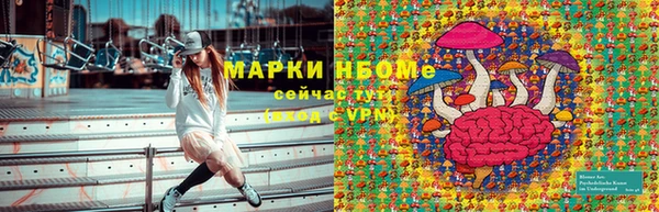 стаф Няндома