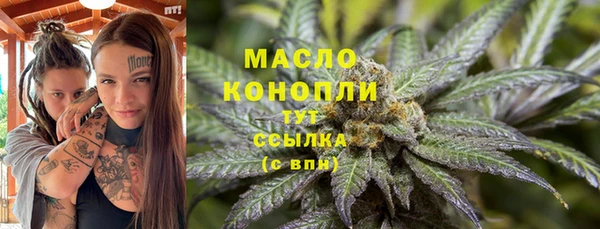 стаф Няндома