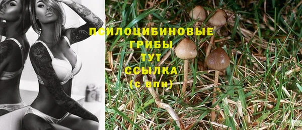 стаф Няндома